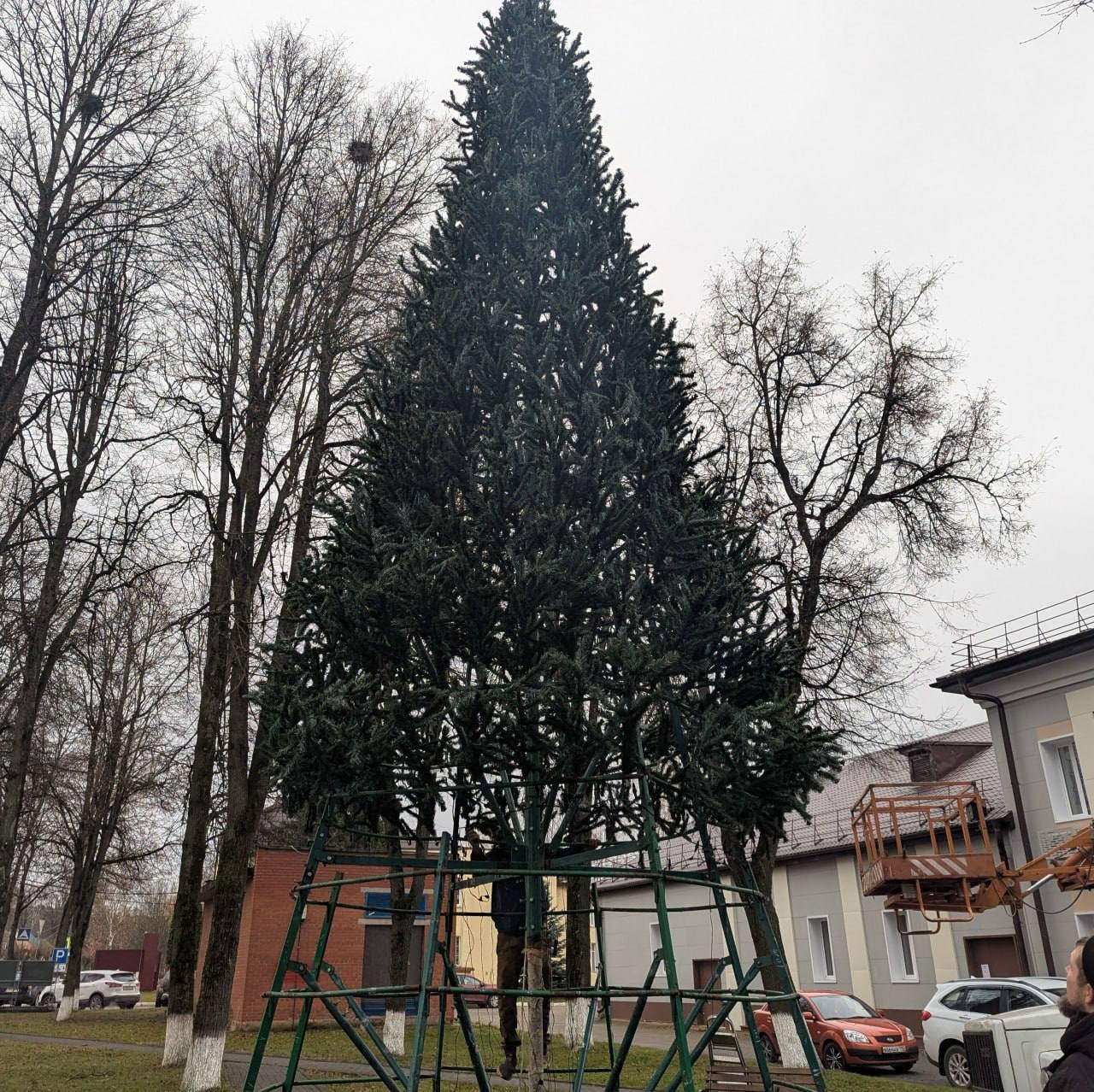 В Жукове началась подготовка к Новому году