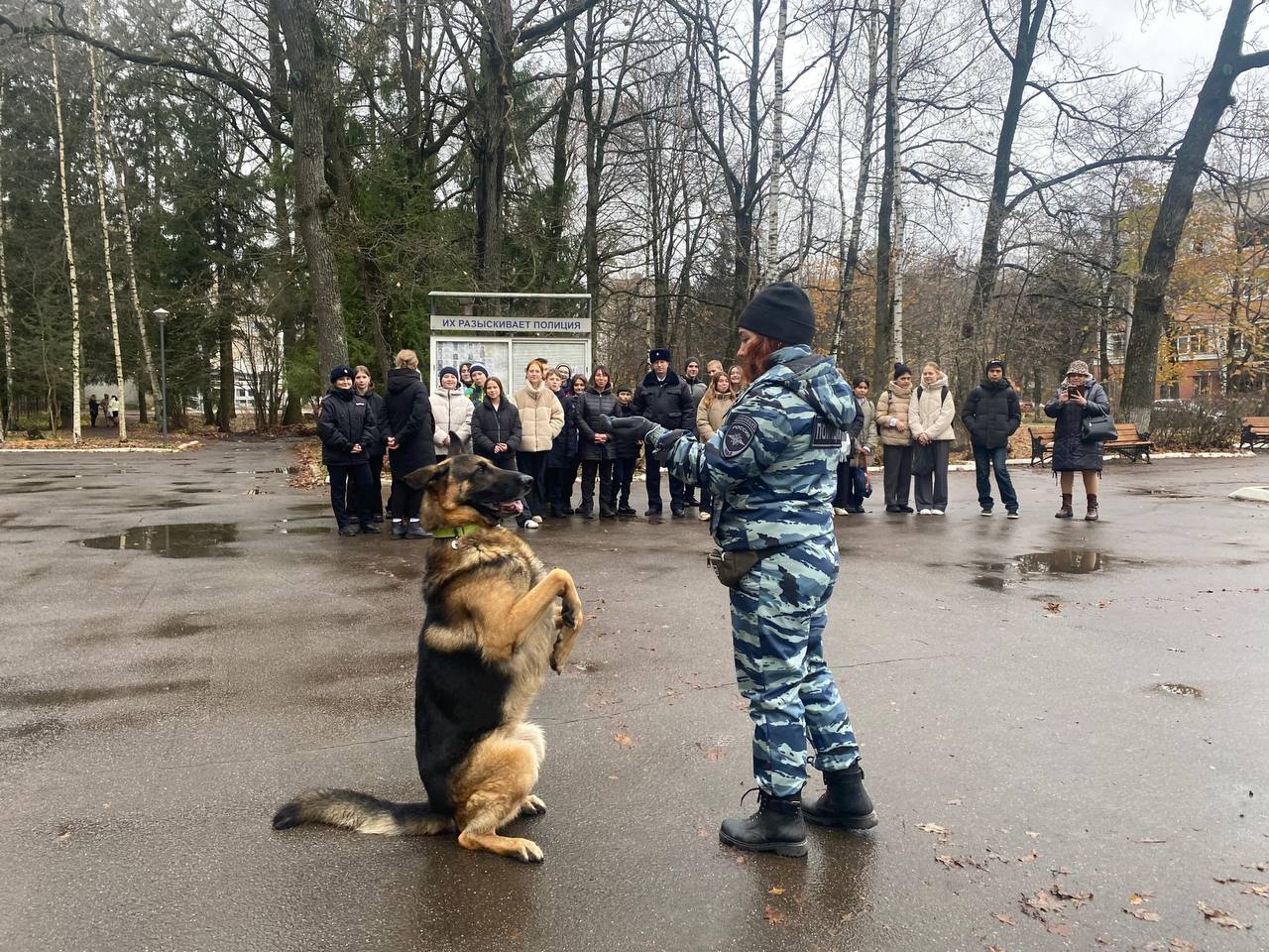 Сегодня храмы проверят кинологи с собаками

Во всех храмах наукограда пройдёт служба, а в полночь...
