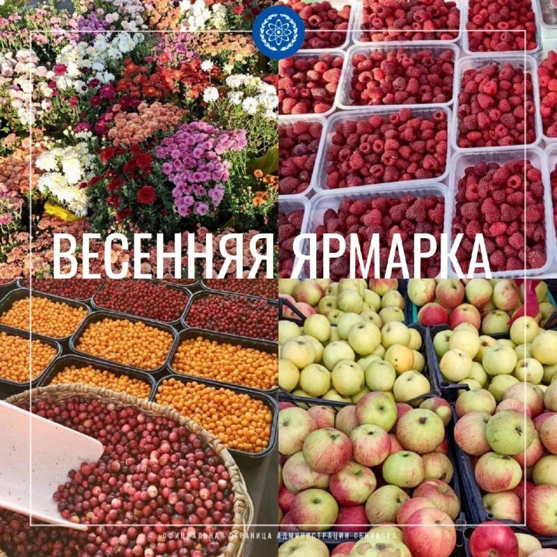 Завтра на парковке по адресу проспект Ленина, 240 пройдет ярмарка местных товаропроизводителей. С...