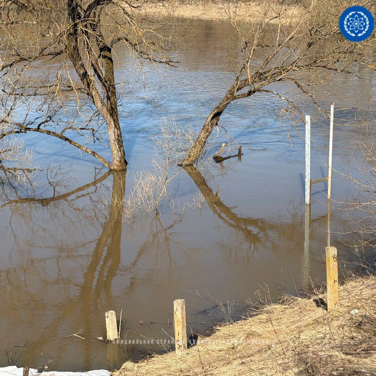 Уровень воды в Протве в Обнинске продолжает расти. По состоянию на 31 марта, на гидропосту в Спас...