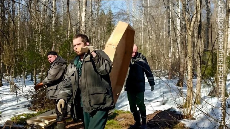 В Калужской области устанавливают искусственные гнезда для редких птиц, включённых в Красную книг...